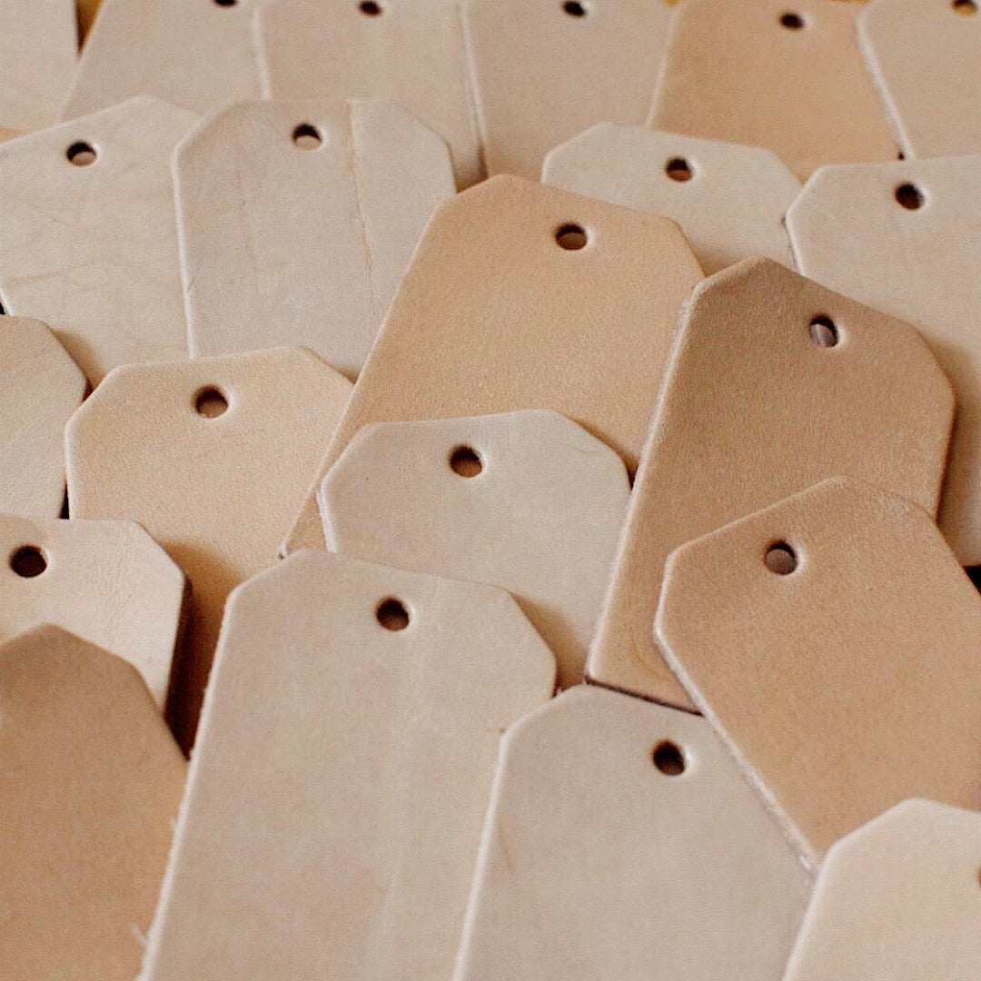 Luggage Tag - Mile High Club Member