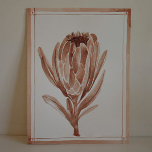 Original Watercolor Painting - Luna's Collection - Protea